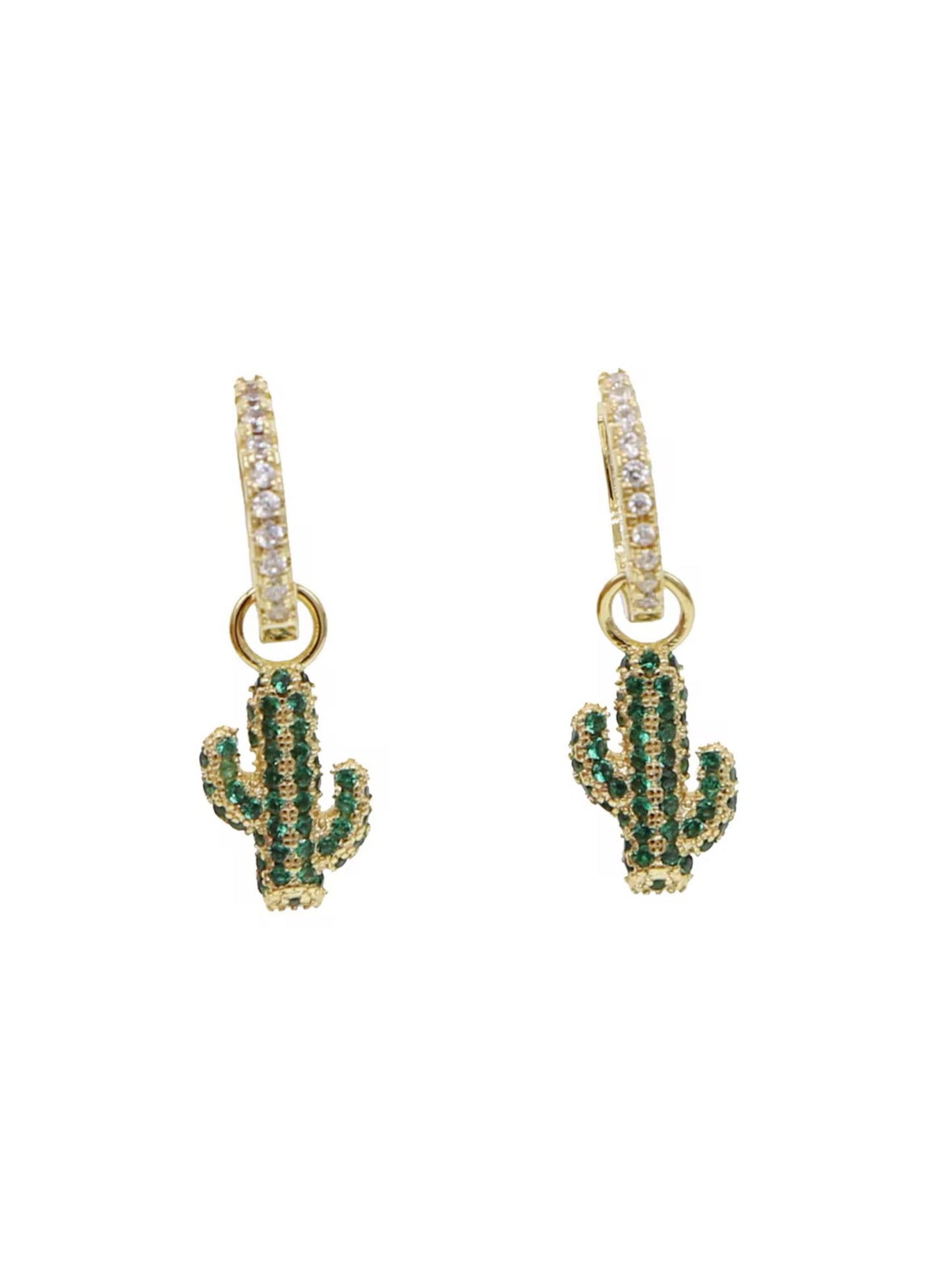 Earrings w/cactus