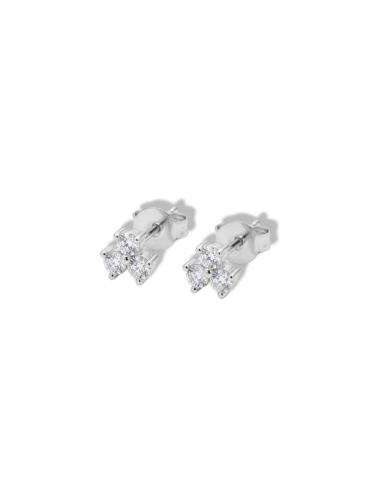 Silver earrings w/stones